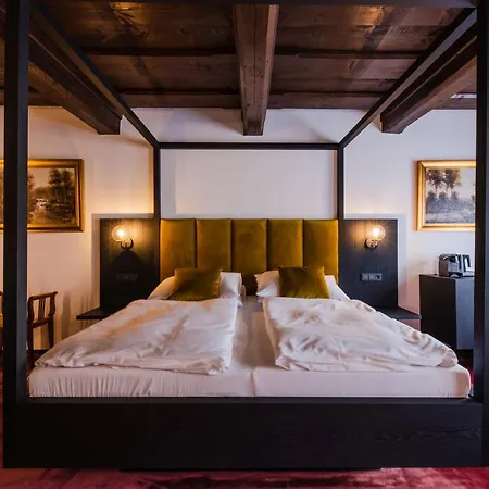 Conti 3*