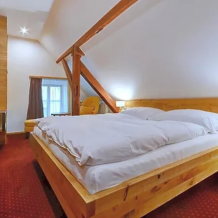 Conti 3* Český Krumlov