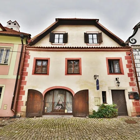 Conti 3*