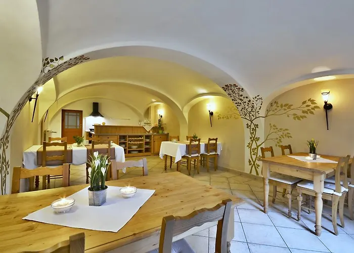 Conti 3*
