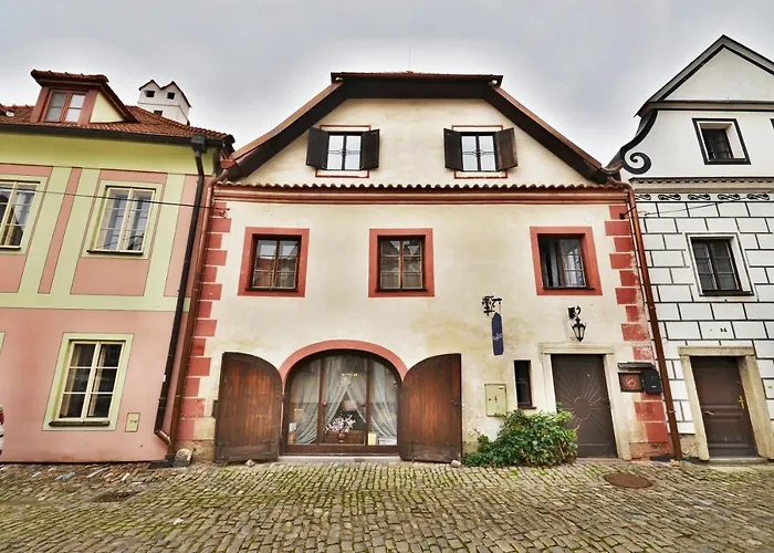 Conti 3*